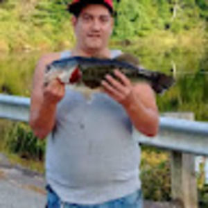 Meet your Posher, Matt